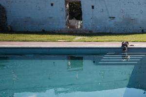 Imagen de la galería de Masseria Mozzone, en Fasano