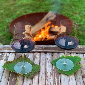 Pet and Breakfast Pet Friendly Country House italokat is kínál