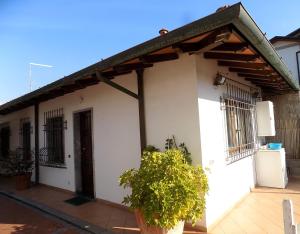 une maison blanche avec une plante devant elle dans l'établissement Casa Nuccia gentili david, à Marina di Massa