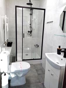 カルパチにあるDom Naturyのバスルーム(シャワー、トイレ、シンク付)