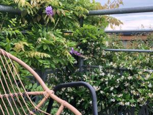 Fleurbaix的住宿－Aux Herbes Hautes，鲜花盛开的花园前的长凳