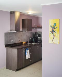 Kitchen o kitchenette sa Cadushi Apartments