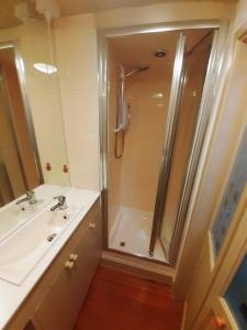 a bathroom with a shower and a sink at Bryn Teg Barn in Dyffryn