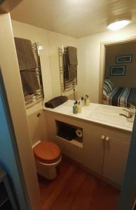 a bathroom with a toilet and a sink at Bryn Teg Barn in Dyffryn