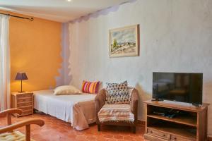 a bedroom with a bed and a tv and a chair at Jardin de Palme in Lapalme