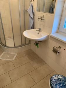ein Bad mit einem Waschbecken und einer Dusche in der Unterkunft Ferienwohnung Anke Huhn in Nordhausen