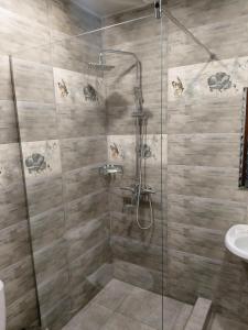 ducha con puerta de cristal y lavamanos en Hotel Felisa Gyumri, en Gyumri