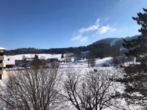 a snow covered field with trees in the foreground at Magnifique appartement pied des pistes in Métabief