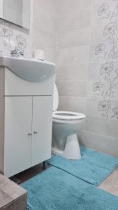 Apartament Terra tesisinde bir banyo