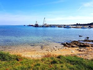Táj Show holiday homes közelében