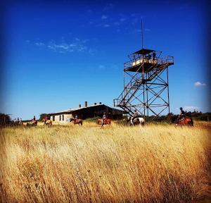 Kép Holiday Home Aurora szállásáról Ližnjanban a galériában