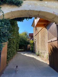 Fotografia z galérie ubytovania Apartmán Na statku v destinácii Miskovice