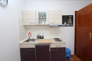 Kuchyňa alebo kuchynka v ubytovaní Apartment Gabriel