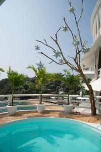 - une vue sur la piscine d'un complexe dans l'établissement Hotel Pasión de Luna, à Puerto Ángel