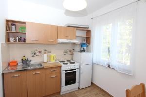 Kuchyňa alebo kuchynka v ubytovaní Apartment Gabriel