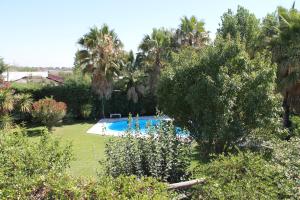 a swimming pool in a yard with palm trees at De Los Andes Hotel Boutique in Ciudad Lujan de Cuyo