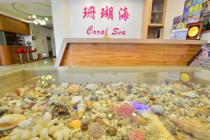 a large pile of rocks in a store display window at Kenting Coral Sea Resort Hotel in Kenting