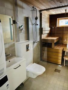 列維的住宿－Levin Kunkku B6，浴室配有卫生间、淋浴和盥洗盆。