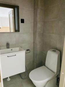 uma casa de banho com um WC, um lavatório e um espelho. em Levin Kunkku B6 em Levi