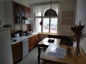 Köök või kööginurk majutusasutuses Apartmán u Mlsného medvěda