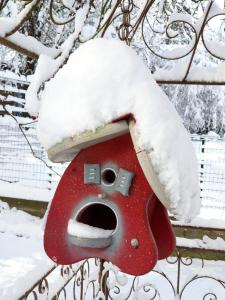 Gite en Alsace talvel