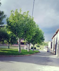 una calle con árboles al lado de una carretera en La Cadole de Chardonnay, en Chardonnay