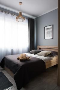 a bedroom with a large bed and a window at Apartamenty France Faktura VAT in Koszalin