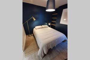 a bedroom with a bed with a blue wall at Appartement F2 COSY proche de l'HYPER CENTRE in Caen