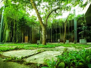 Imagen de la galería de Isi Arana Eco Villa, en Anuradhapura