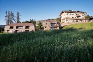 a group of houses on a hill with tall grass at Der Zirmerhof in Redagno