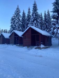 Foto dalla galleria di Popas Turistic Padis a Padis Altre 29 foto