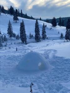 Foto dalla galleria di Popas Turistic Padis a Padis