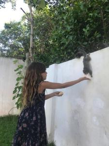 Galeriebild der Unterkunft Paraíso de Praia Seca in Araruama