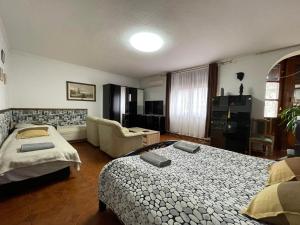 ミシュコルツにあるTulipán Vendégházのベッドルーム1室(ベッド2台付)、リビングルームが備わります。