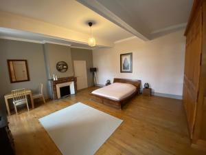 a bedroom with a bed and a fireplace at La Tarabelloise in Tarabel