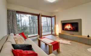 salon z kanapą i telewizorem w obiekcie Apartmány Sunny Lipno w mieście Lipno nad Vltavou