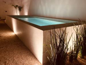 Apartments & Suites MADRE Holbox Self-Check IN内部或周边的泳池