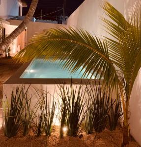 Apartments & Suites MADRE Holbox Self-Check IN内部或周边的泳池
