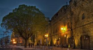 a tree in front of a building at night at Apartamento Gaztainondoak(II)A 10min de Laguardia in Lanciego