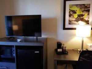 a room with a television and a lamp on the wall at Quality Inn Leesburg Chain of Lakes in Leesburg