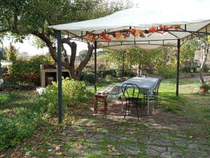 A garden outside Etna, salvia e rosmarino