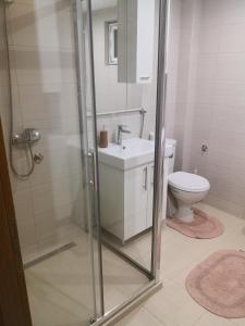 Un baño con ducha, lavabo e inodoro. en LUX Apartman Tara Pale Jahorina, en Pale
