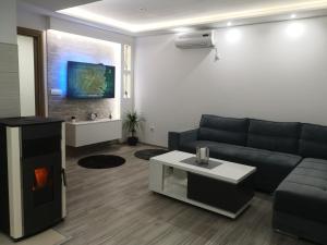 Una sala de estar con un sofá y una chimenea. en LUX Apartman Tara Pale Jahorina, en Pale