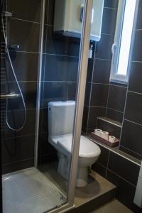 ein Bad mit einem WC und einer Dusche in der Unterkunft Appartement palais plages in Cannes