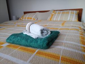 Postel nebo postele na pokoji v ubytování Apartment Igor - HOLIDAY HOME