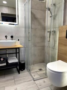 uma casa de banho com um chuveiro, um WC e um lavatório. em Apartament1 Tri-City Oliwa Ogród, prywatne wejście em Gdansk
