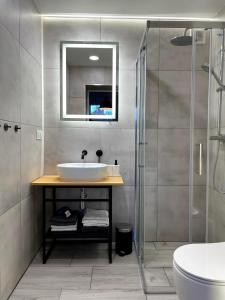 uma casa de banho com um lavatório e um chuveiro em Apartament1 Tri-City Oliwa Ogród, prywatne wejście em Gdansk