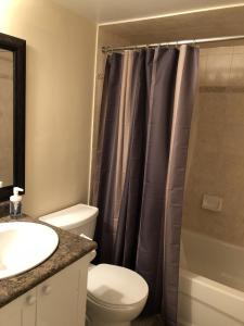 a bathroom with a toilet and a sink and a shower at Spacious 2 Bedroom guest suite in Toronto +10 photos