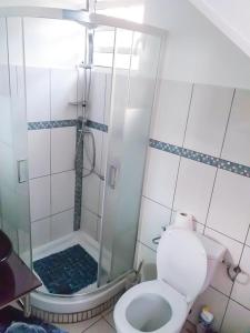 a bathroom with a shower with a toilet and a glass shower at bas de VILLA LARCHER avec piscine in Le Marin +7 photos