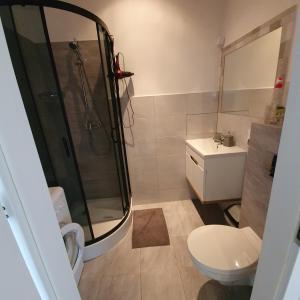 een badkamer met een douche, een toilet en een wastafel bij GreyT in Toruń